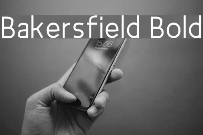 Bakersfield Bold Example 2