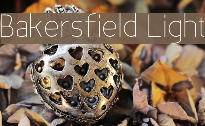 Bakersfield Light Example 2