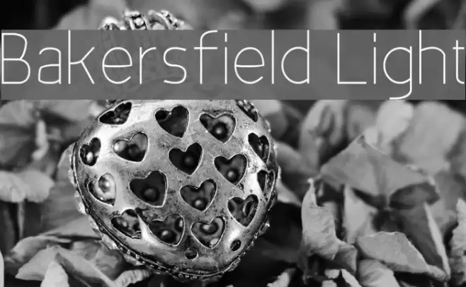 Bakersfield Light Font examples
