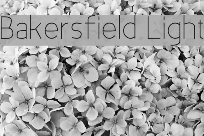 Bakersfield Light Font examples