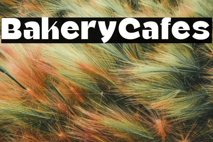 Bakery Cafes Example 1