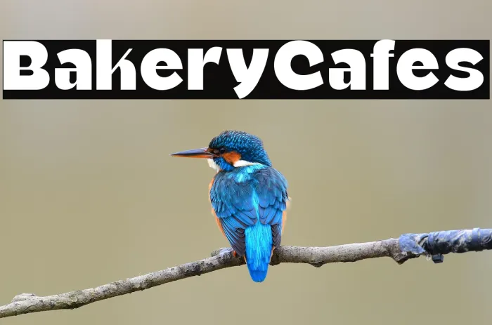 Bakery Cafes Example 3