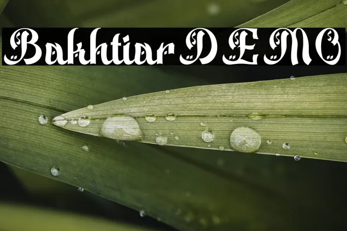 Bakhtiar DEMO Example 2