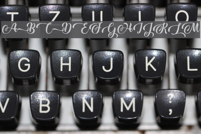 Baking Lion - Personal Use Example 1