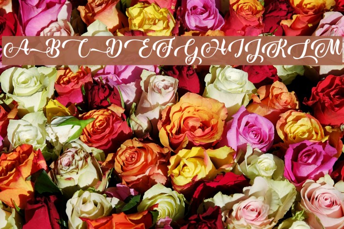 Baking Lion - Personal Use Example 2