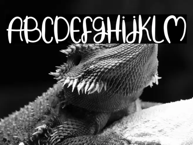 Baking Pastry Font examples