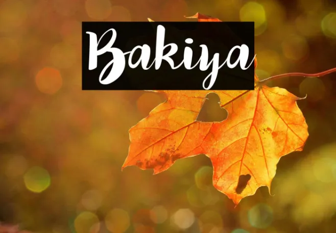 Bakiya Example 1