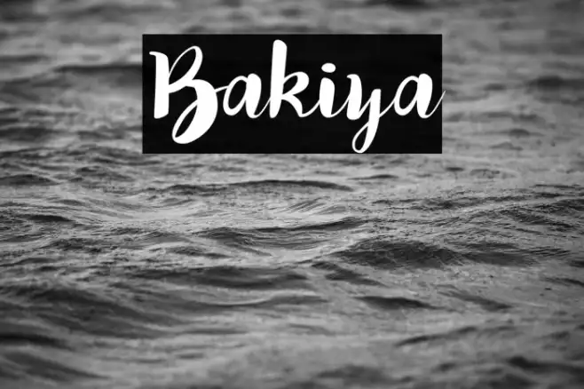Bakiya Example 3