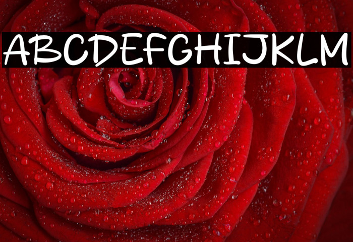 Bakpia Sabang Example 1