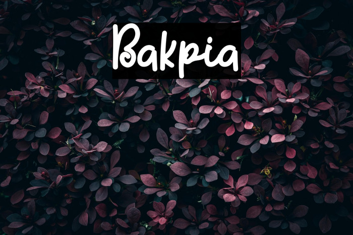 Bakpia Example 2