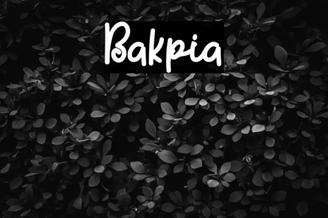 Bakpia Font examples