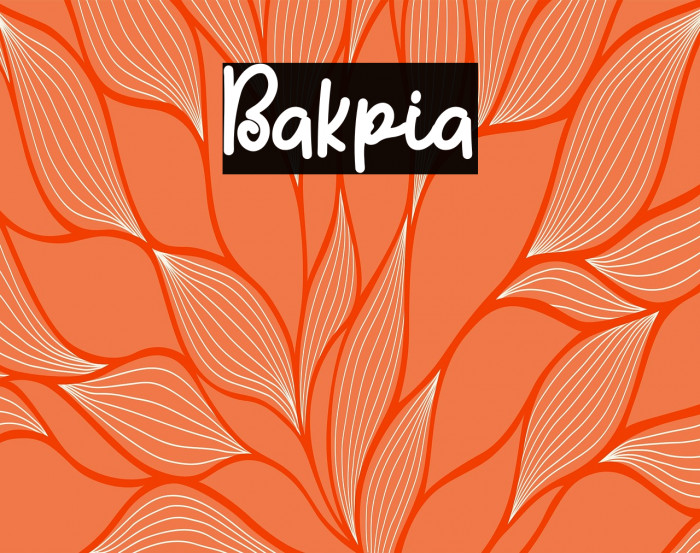 Bakpia Example 3