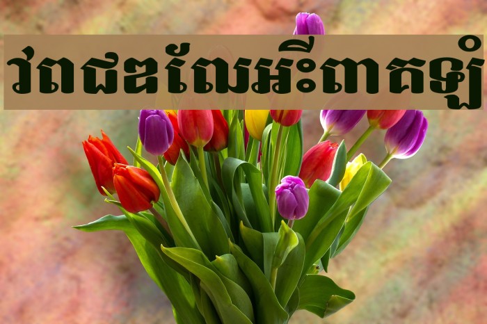 Bakprea New Example 2