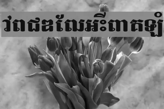 Bakprea New Font examples