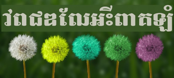 Bakprea New Example 3