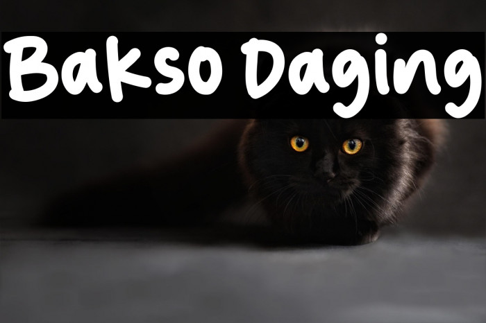 Bakso Daging Example 3