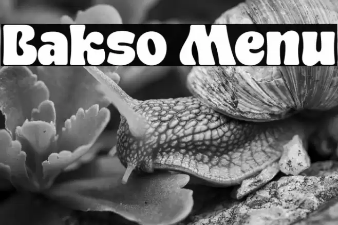 Bakso Menu Шрифта examples