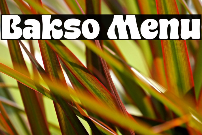 Bakso Menu Font examples