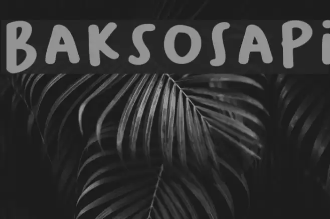 BaksoSapi Font examples
