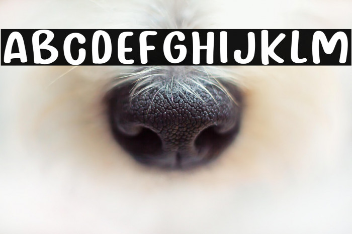 Bakul Nasi Example 2