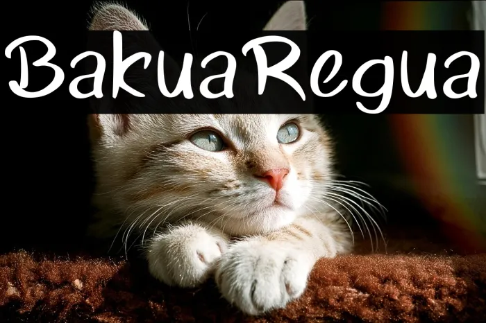 Bakula Regular Example 3