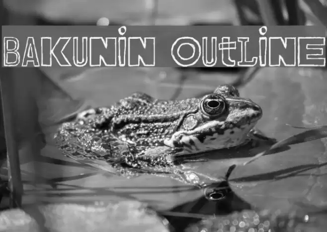 Bakunin Outline Font examples