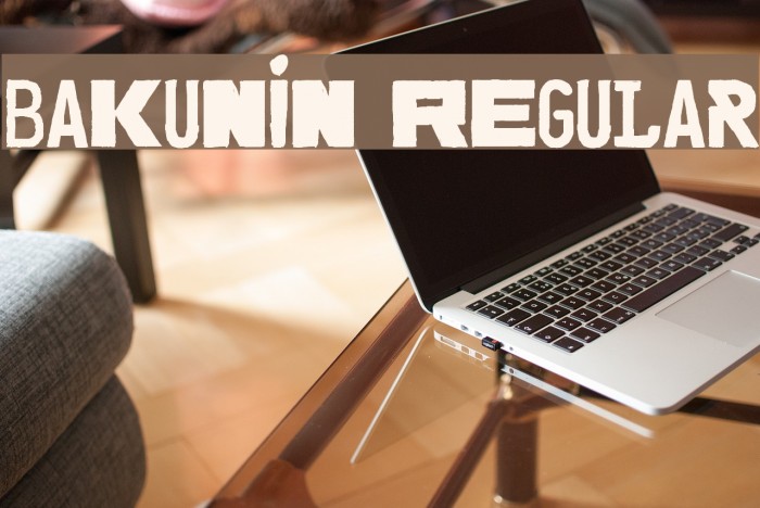 Bakunin Regular Font examples