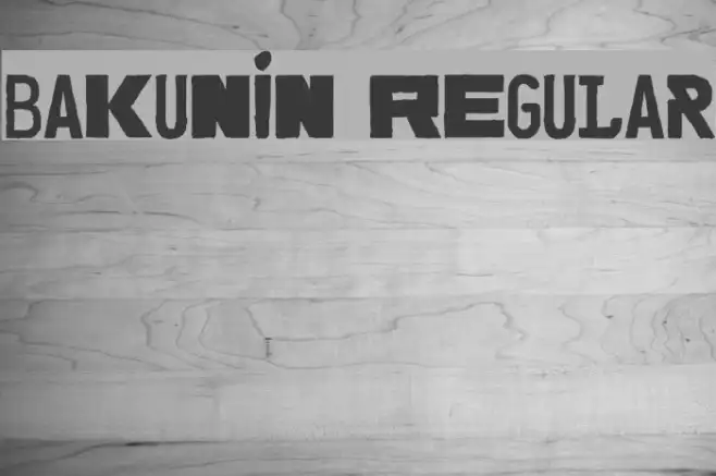 Bakunin Regular Example 2