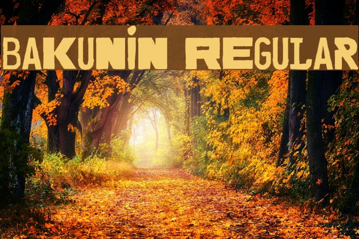 Bakunin Regular Font examples