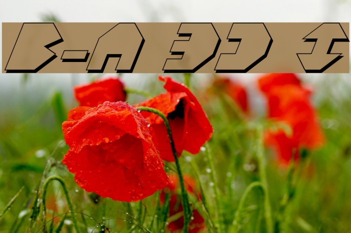 Bal-Astaral 3D Italic Font examples