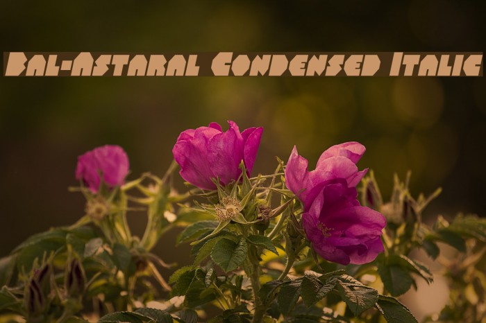 Bal-Astaral Condensed Italic Шрифта examples