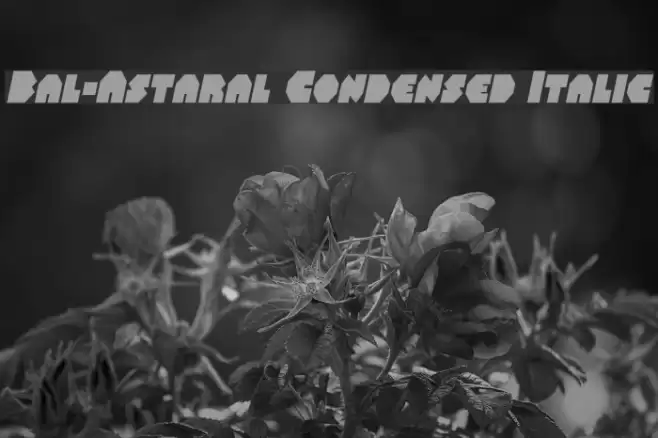 Bal-Astaral Condensed Italic Шрифта examples
