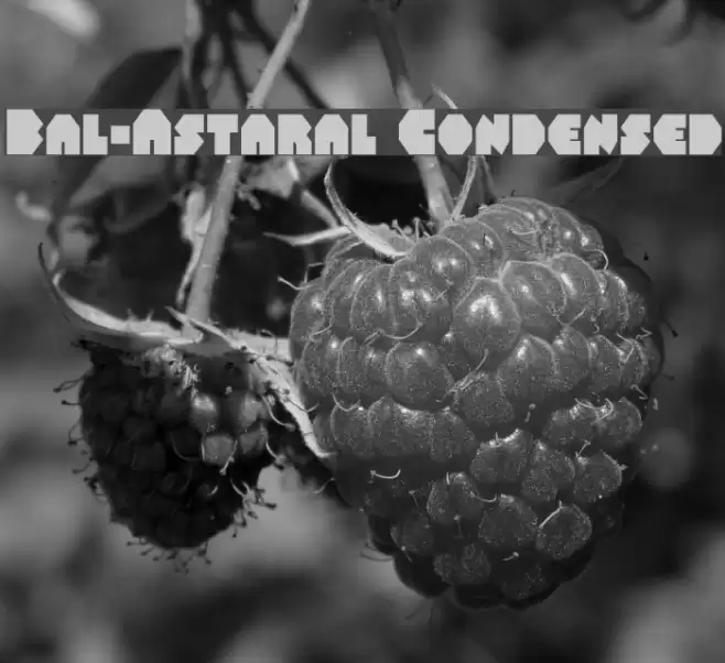 Bal-Astaral Condensed Font examples