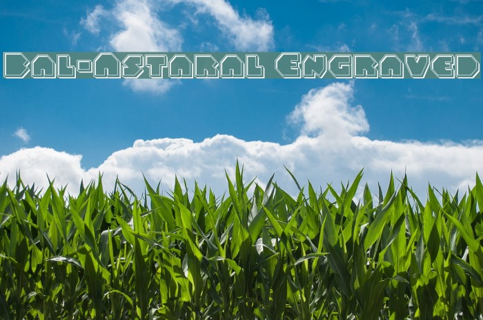 Bal-Astaral Engraved Example 1