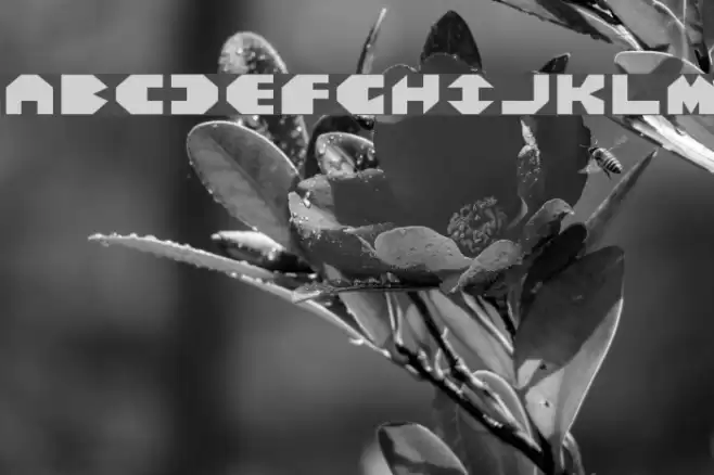 Bal-Astaral Expanded Font examples