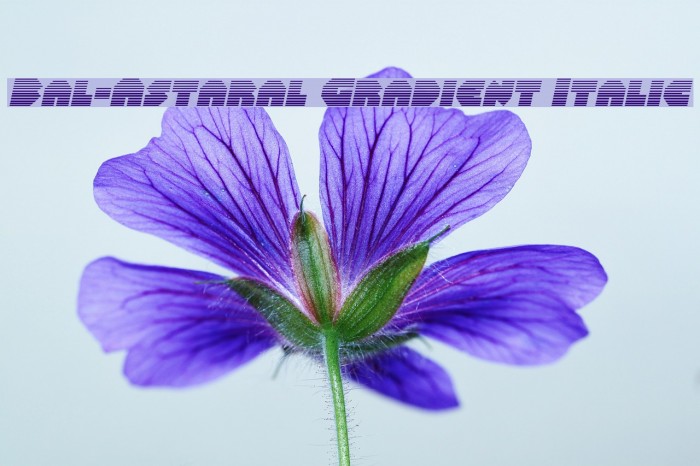 Bal-Astaral Gradient Italic Font examples