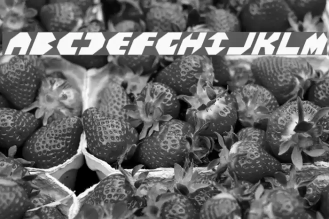 Bal-Astaral Italic Шрифта examples