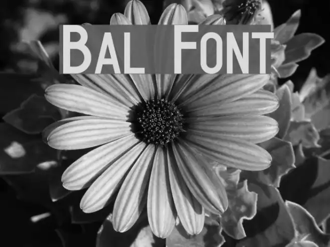 Bal Example 1