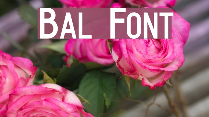 Bal Font examples