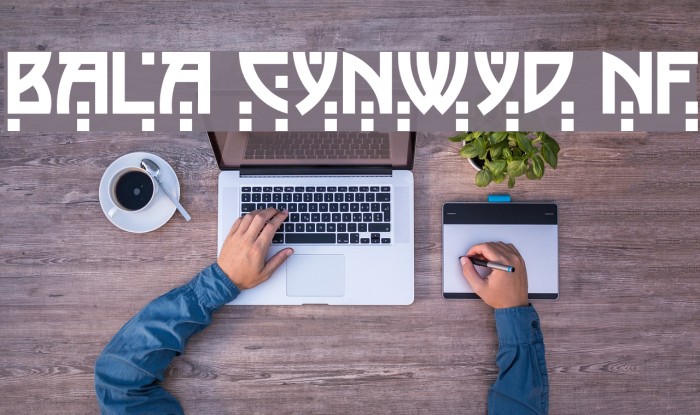 Bala Cynwyd NF Font examples