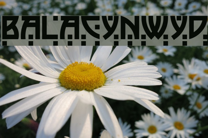 BalaCynwyd Font examples