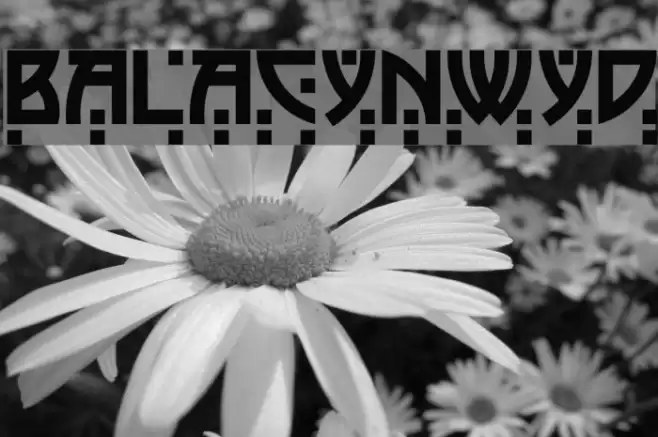 BalaCynwyd Fuentes examples