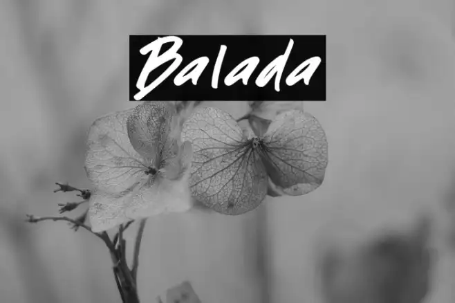Balada Example 2