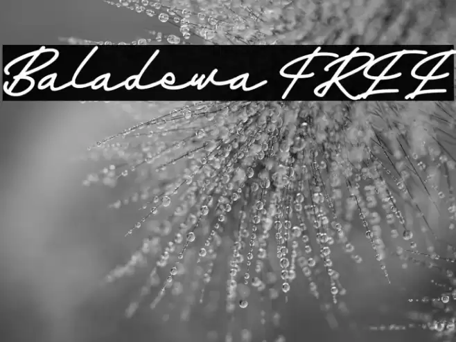 Baladewa FREE Font examples