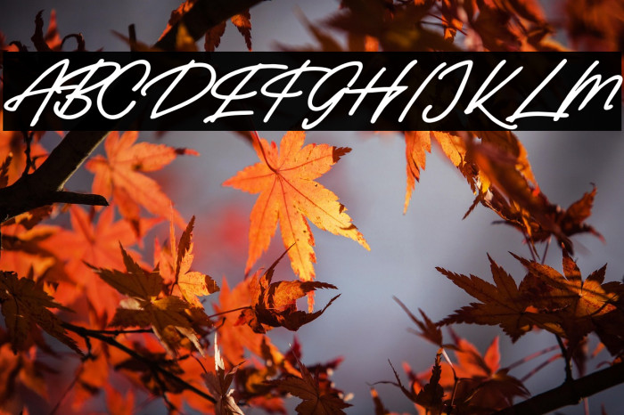 BaladewaFREE Example 1