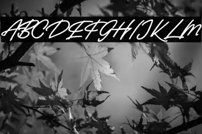 BaladewaFREE Font examples