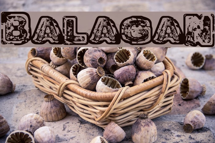 Balagan Font examples