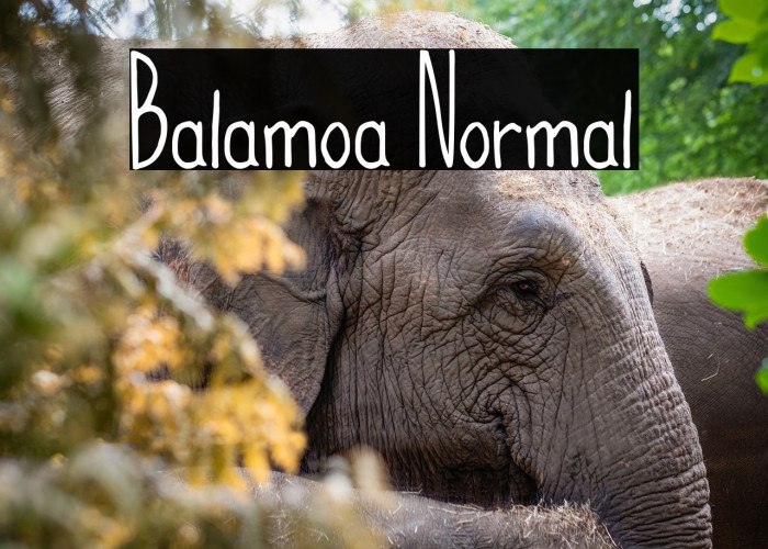 Balamoa Normal Example 3