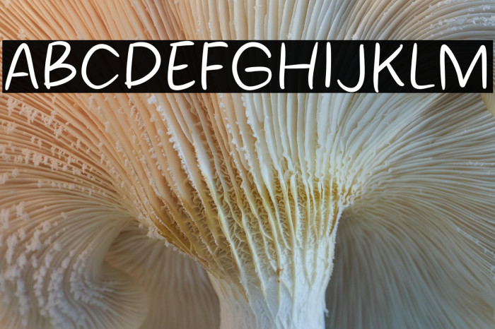 Balance Life Example 3