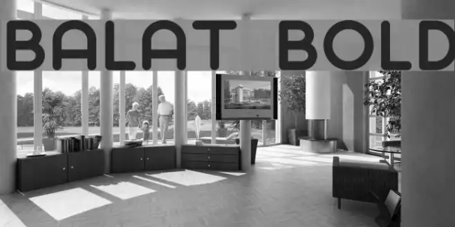 Balat Bold Example 2